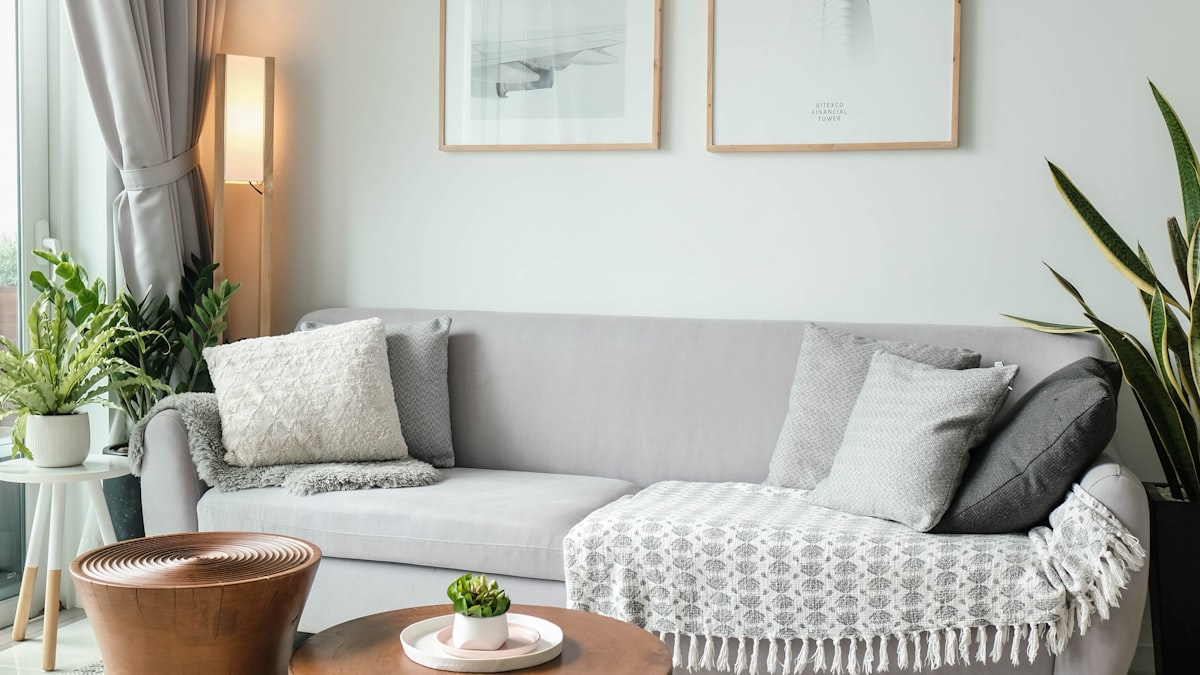 Séjour meublé d'un appartement proposé en location ou en colocation